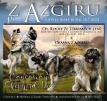 Kavkazský pastevecký pes s PP FCI
